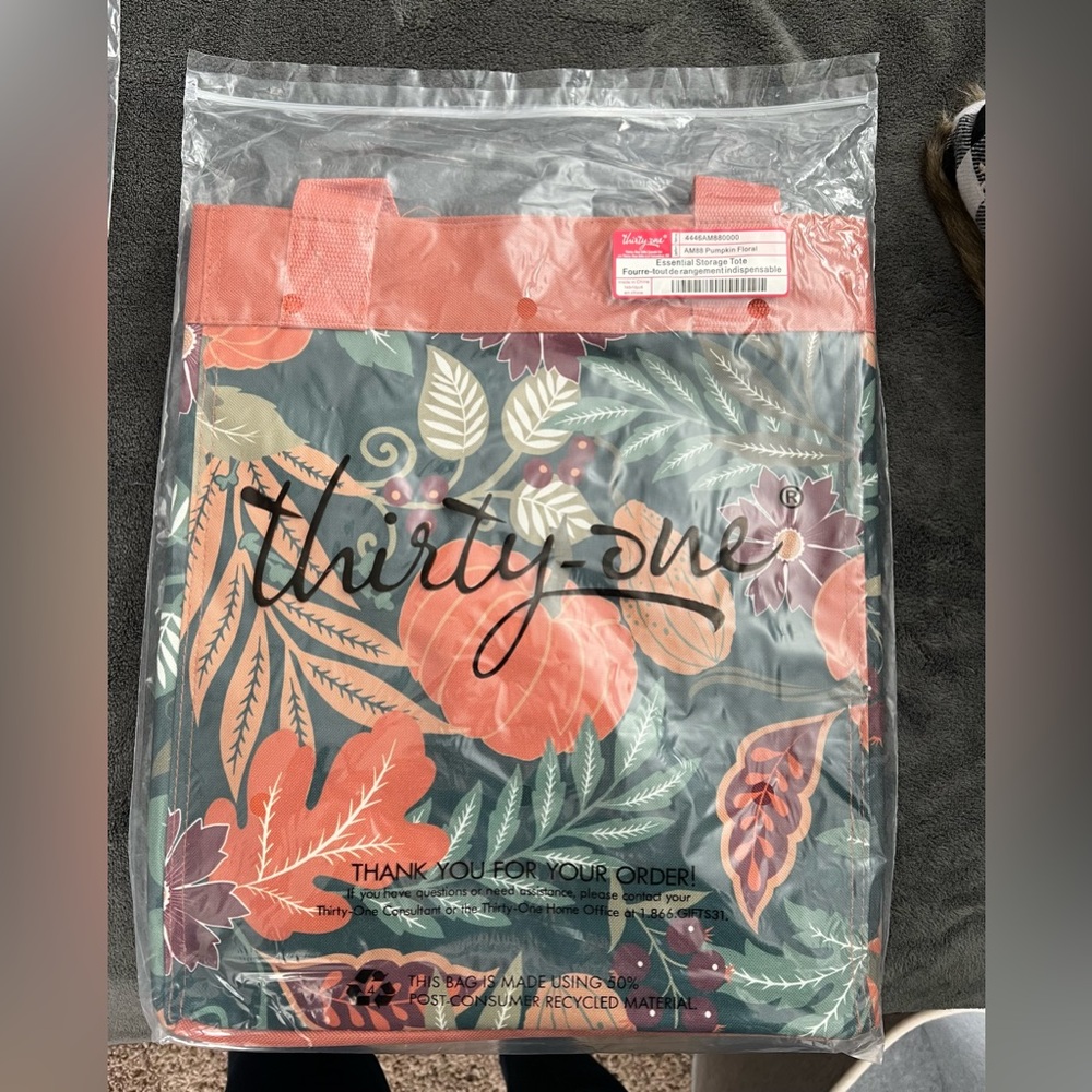 2 piece Thirty One totes